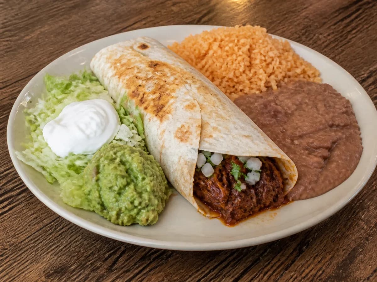 Burrito Birria