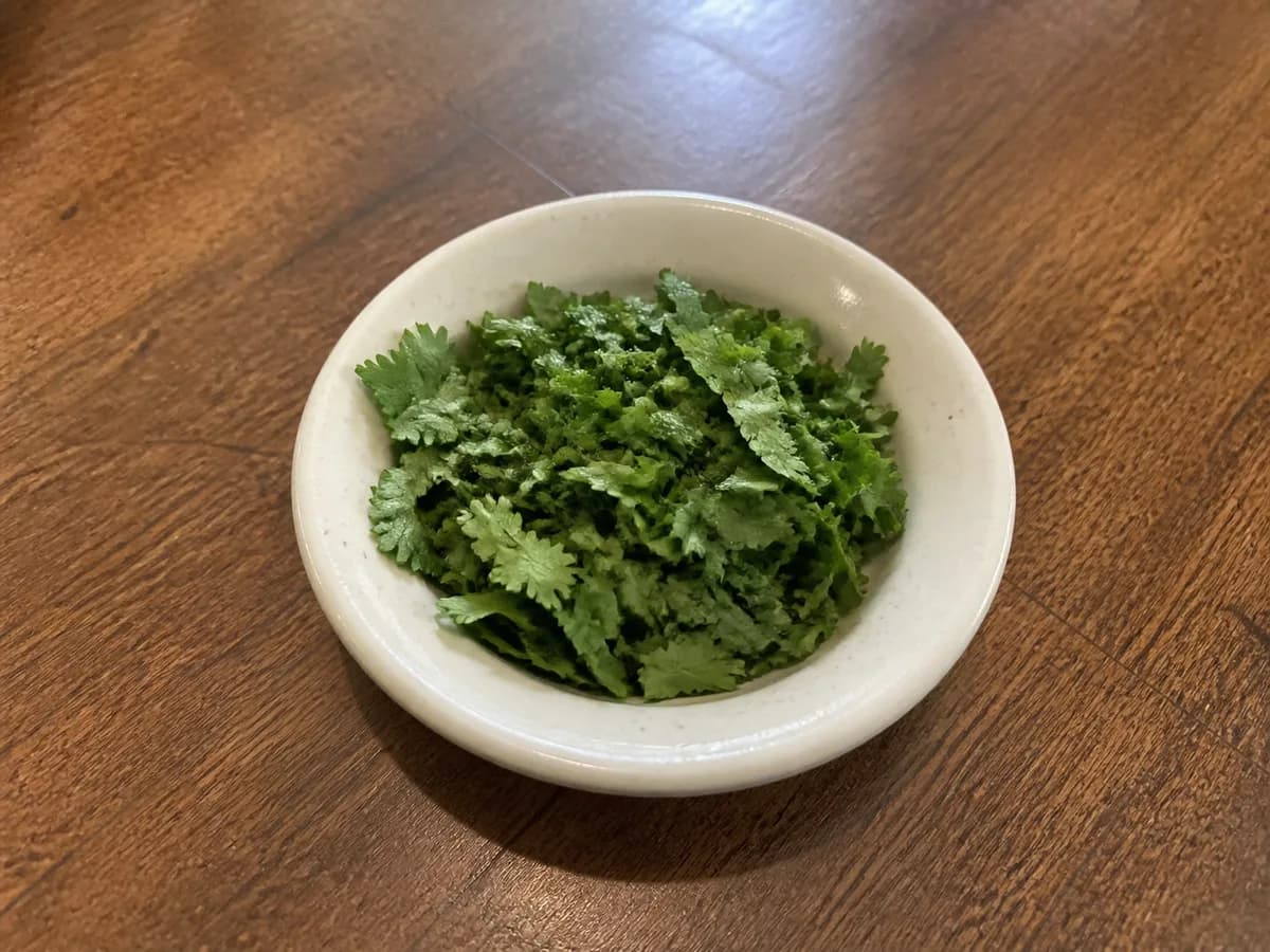 Cilantro